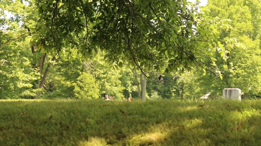 Epic Landscapes: Serpent Mound,&nbsp;OH